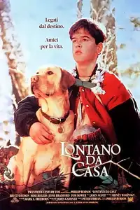 Lontano da casa (1995) - Film Streaming HD