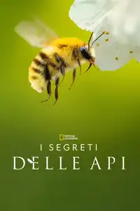 I segreti delle api (2026) - Serie TV Streaming HD