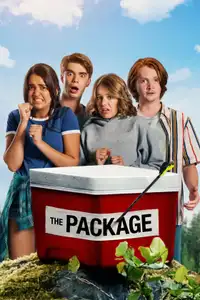 Il pacco (2018) - Film Streaming HD