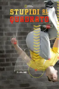 Stupidi al quadrato (2014) - Serie TV Streaming HD