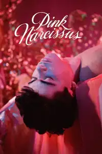 Pink Narcissus (1971) - Film Streaming HD
