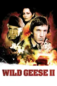 I quattro dell'oca selvaggia II (1985) - Film Streaming HD