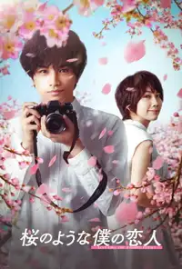 Il mio amore è un fiore di ciliegio (2022) - Film Streaming HD