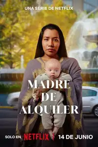 The Surrogacy (2023) - Serie TV Streaming HD