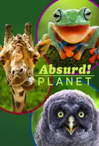 Pianeta assurdo (2020) - Serie TV Streaming HD